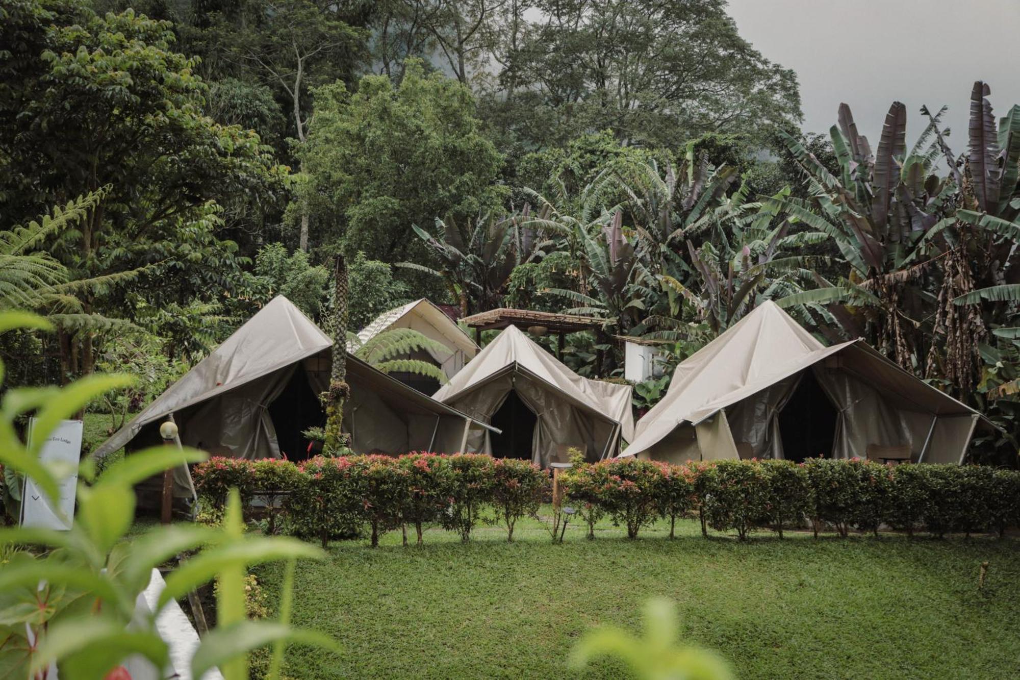 Alamu Eco Lodge Бедугул Экстерьер фото
