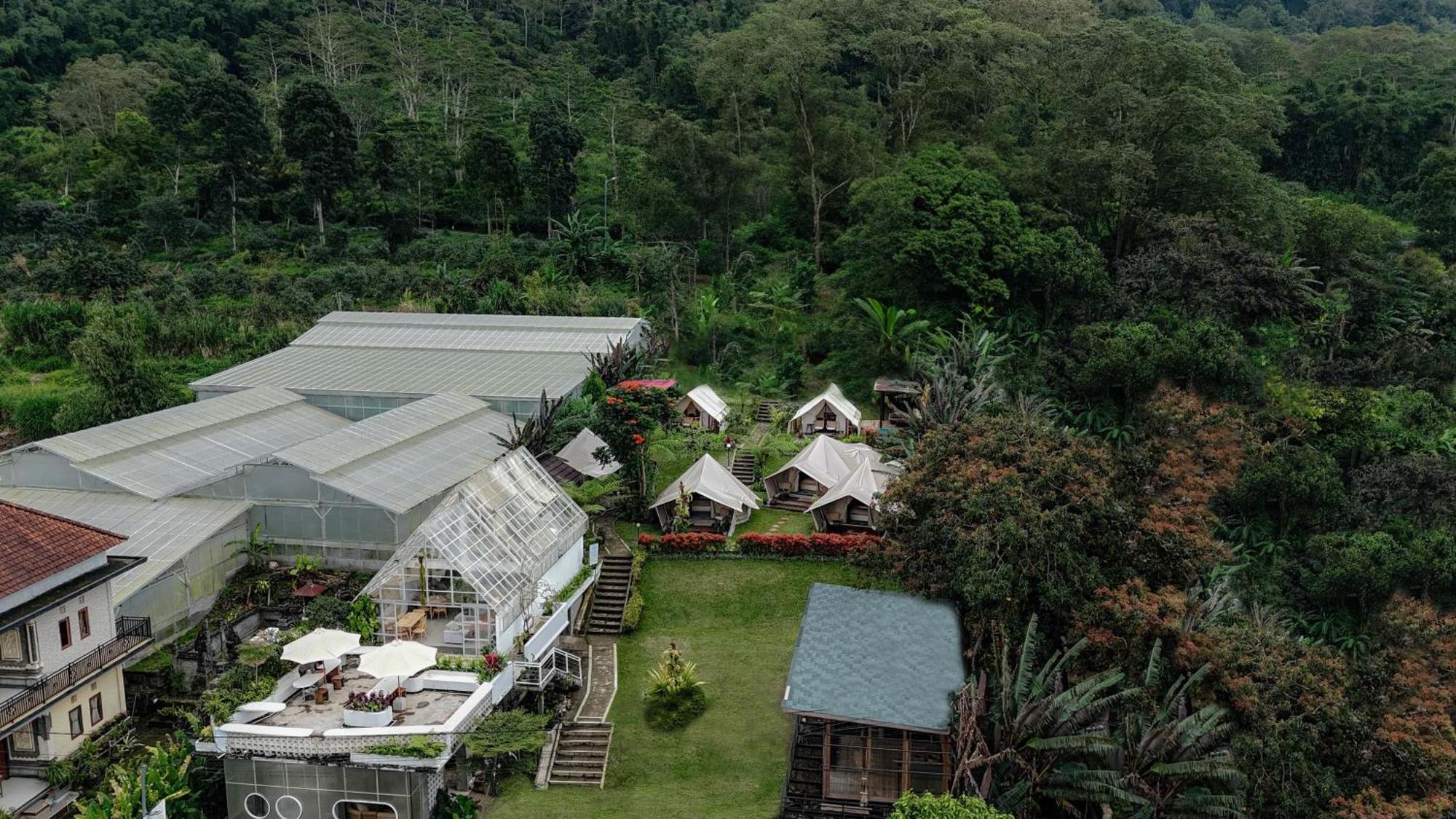 Alamu Eco Lodge Бедугул Экстерьер фото
