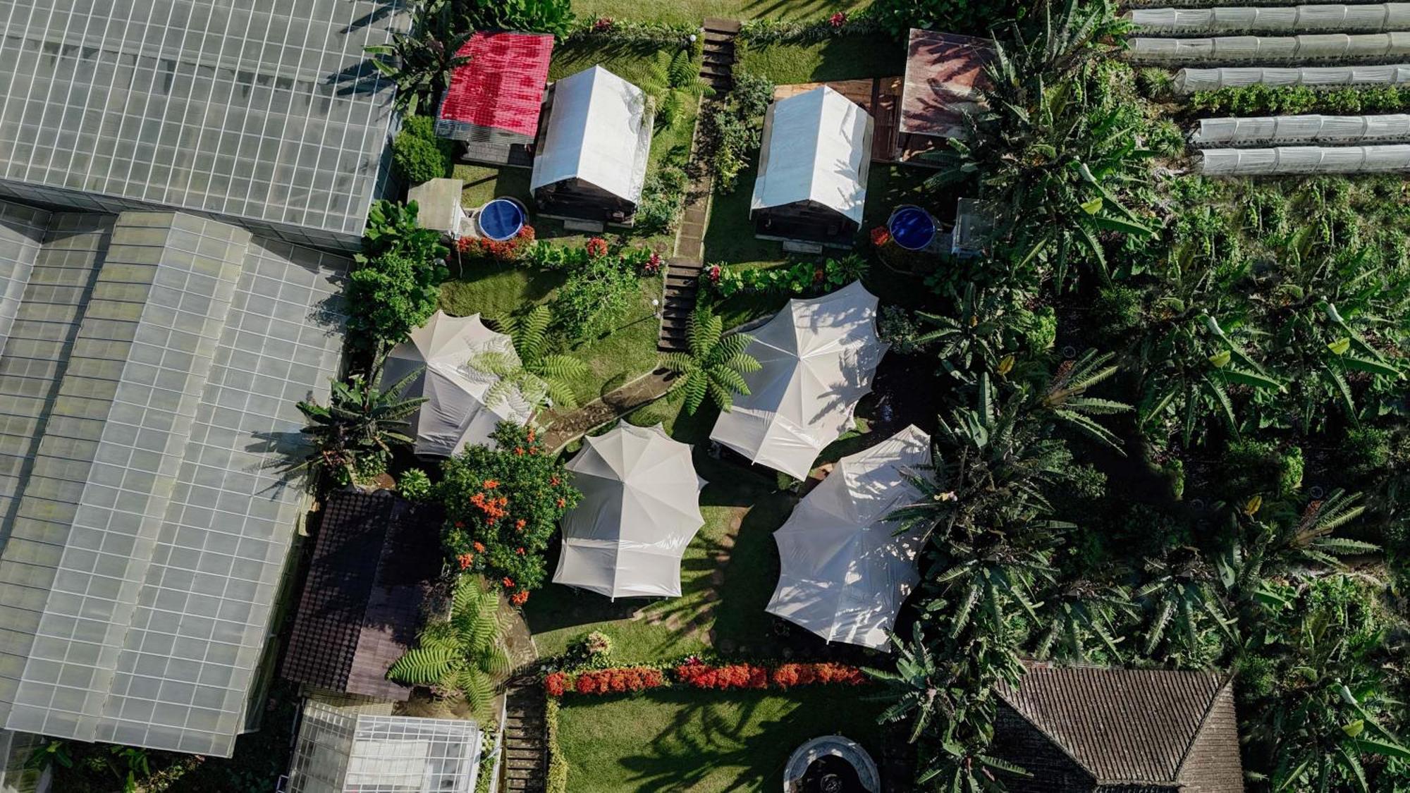Alamu Eco Lodge Бедугул Экстерьер фото