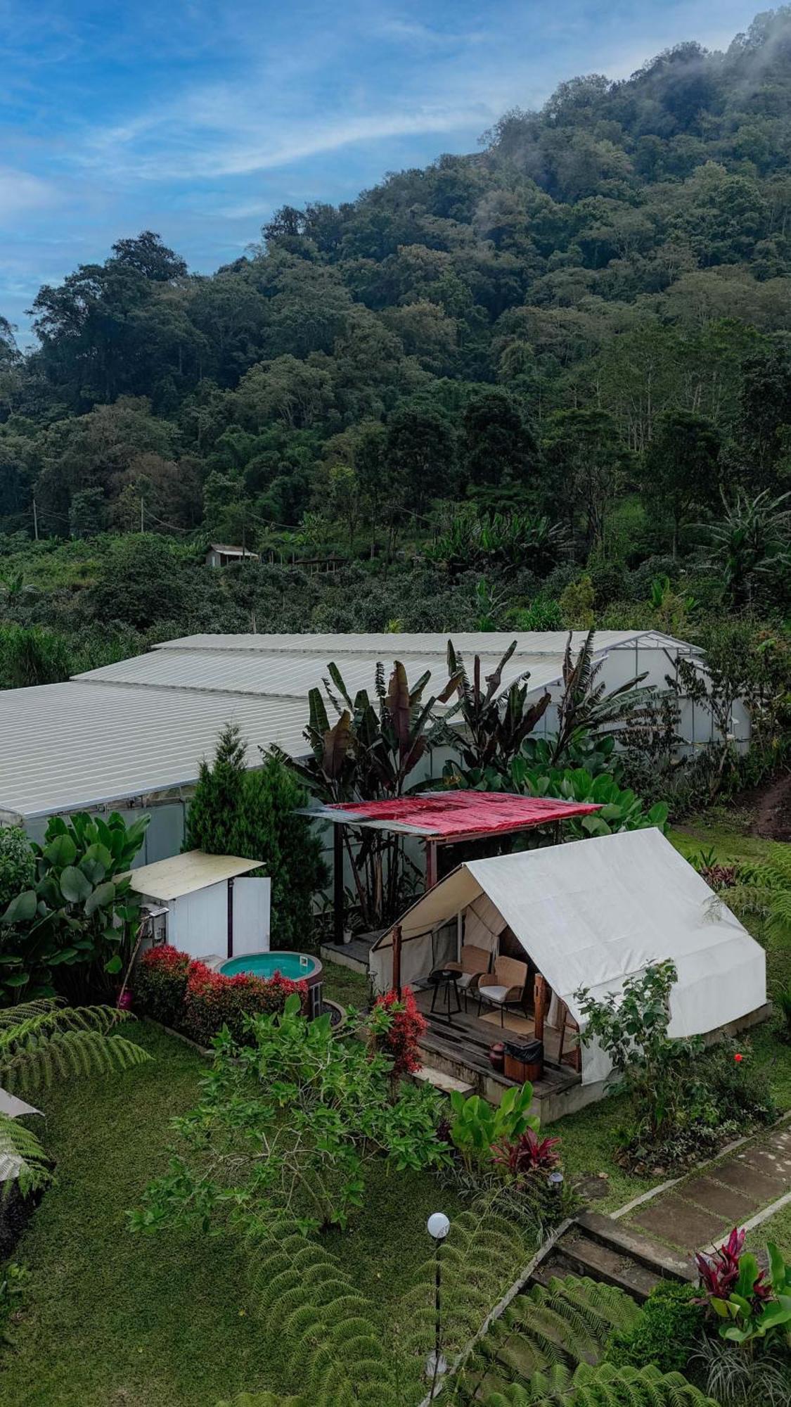 Alamu Eco Lodge Бедугул Экстерьер фото